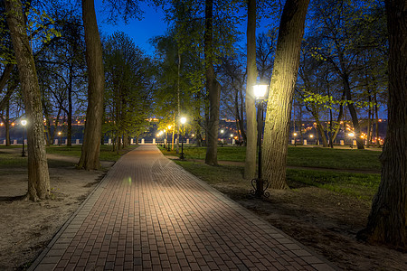 夏天的夜间公园景观灯笼途径场景绿色人行道花园季节小路风景图片
