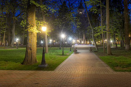 夏天的夜间公园花园叶子景观人行道风景小路季节场景街道长椅图片