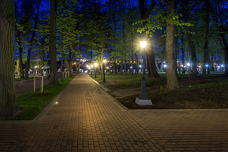 夏天的夜间公园季节城市景观叶子风景长椅途径人行道绿色花园图片