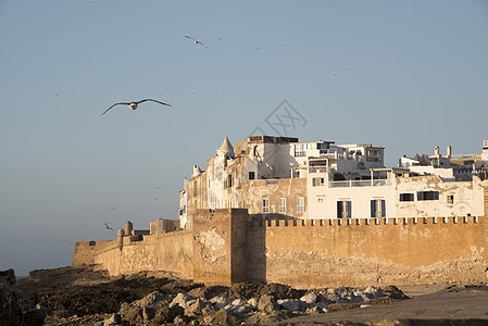 摩洛哥沿海历史长城的Essaouira镇E房子海洋港口建筑天空堡垒海岸地标海滩城堡图片