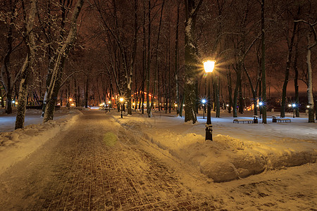 夜间冬季公园季节树木场景蓝色木头正方形长椅森林降雪小路图片