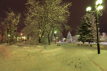 夜间冬季公园长椅树木季节小路正方形降雪蓝色森林场景花环图片