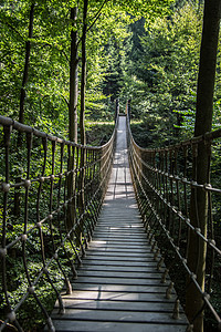 附近吊桥小径天桥棕色过渡森林绳索雕塑树木峡谷木板图片