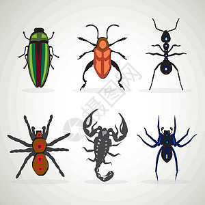 昆虫和动物 bug 蚂蚁蝎子蜘蛛蟑螂瓢虫图标卡通 Vecto图片