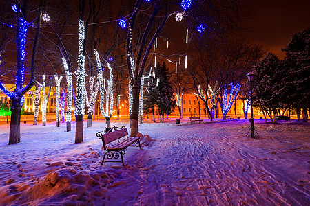 夜间冬季公园场景花环季节长椅树木正方形蓝色森林木头小路图片