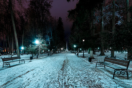 冬天的夜间公园下着雪降雪季节树木木头场景长椅蓝色公园森林花环图片