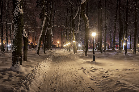 冬季公园在晚上长椅降雪场景树木蓝色季节正方形木头花环森林图片