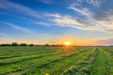 夏天 在农村耕地上晒日落 笑声生长蓝色滚动阳光线条合并晴天草地农业农田图片