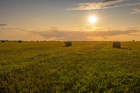 夏天晚上的日落时 田野里有干草堆场景草地农场日出蓝色干草场地国家农业稻草图片