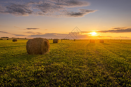 夏天晚上的日落时 田野里有干草堆草地农业农村稻草国家风景土地农场场景金子图片