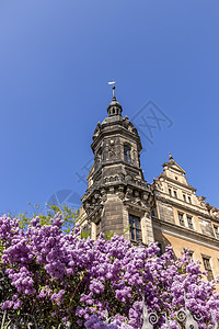 紫色建筑德累斯顿城堡住所建筑纪念碑蓝色艺术地标建筑学住宅教堂正方形皇家背景