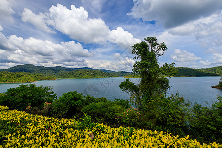 泰国Cheo Lan湖观测站白色囊社社会绿色森林岩溶蓝色花朵旅行爬坡图片