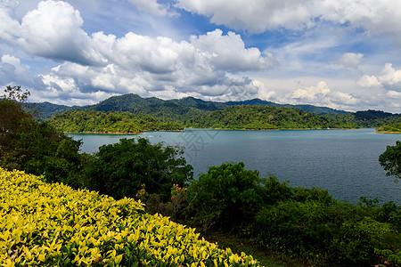 泰国Cheo Lan湖观测站白色石灰石旅行森林绿色爬坡岩溶囊社蓝色花朵图片