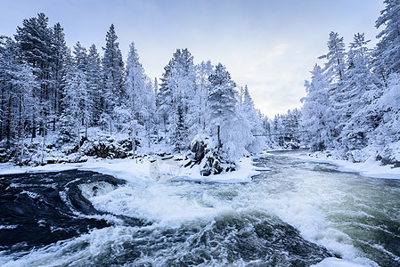 芬兰Oulanka国家公园冬季的河流 请查看InfoFinland上的 Oulanka国家公园木头天空日落公园冻结蓝色环境橙子季图片