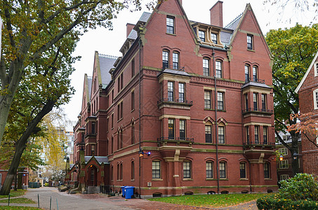 美国马萨诸塞州剑桥哈佛大学大楼美国树木图书馆地标四边形蓝色院子学生教育电脑历史性图片