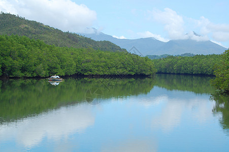 Bacungan红树林清水河自然风景 带过敏风景叶子绿色红树树叶蓝色图片