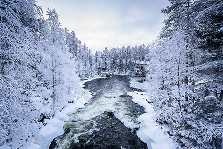 芬兰Oulanka国家公园冬季的河流 请查看InfoFinland上的 Oulanka国家公园松树紫色冻结降雪蓝色木头公园森林天图片