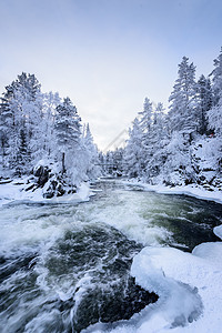 芬兰Oulanka国家公园冬季的河流 请查看InfoFinland上的 Oulanka国家公园国家公园线索天空降雪森林紫色环境暴图片