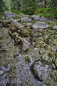 流满石块的山洪公园树木苔藓旅行场景瀑布植物季节石头森林图片