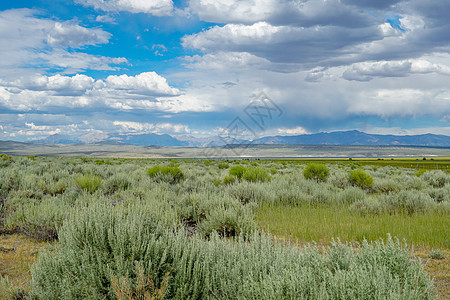 绿野地 树丛植物和山丘位于紧接克劳利湖的背景之下远足沙漠牧场假期荒野反射旅游高山泥坑旅行图片