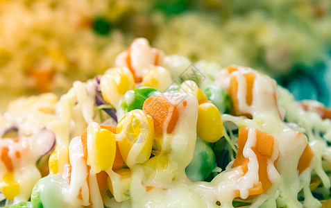维冈或蔬菜沙拉 配有美乃滋的半边框拖网图片