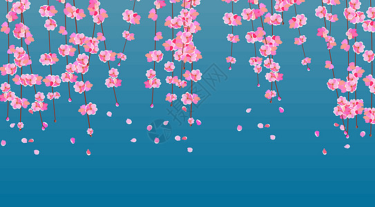 樱桃 樱花枝和精细的粉红花和花蕾 花瓣在黎明时落下图片