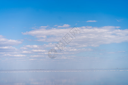 干海无尽的沙尘 美丽的云朵 美丽的风景河口天空支撑海滩脱水自然蓝色低潮天线旅游海岸线图片