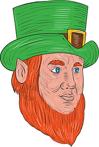 Leprechaun 首脑三季度视图绘图手工男性胡子帽子画线插图刮板男人绿色墨水图片