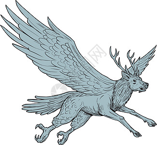 佩里顿飞行侧绘图动物刮板墨水手工翅膀神话插图手绘寓言民俗学图片