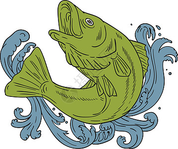 岩鱼翻浮流泡水绘图海洋生物草图手工野生动物插图艺术品刮板墨水手绘画线图片