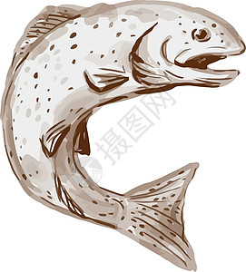 彩虹萝子跳跃水彩色艺术品手工斑点鳟鱼野生动物插图墨水绘画手绘海洋生物图片
