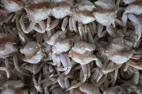 冻蟹 关上新鲜螃蟹烹饪盘子动物餐厅销售海鲜市场蓝色食物甲壳图片
