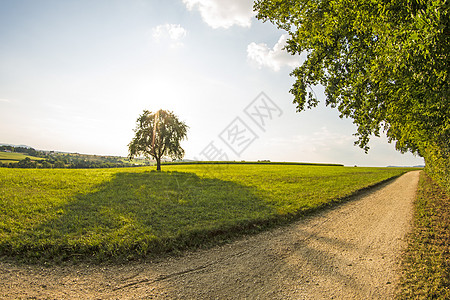 德国高原 斯瓦比亚阿尔布Swabian Alb蓝色步行天空农业全景旅游绿色乡村牧歌图片