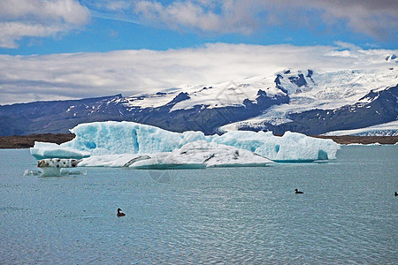 Jokulsarlon环礁湖冰川冰层中的蓝色冰块图片