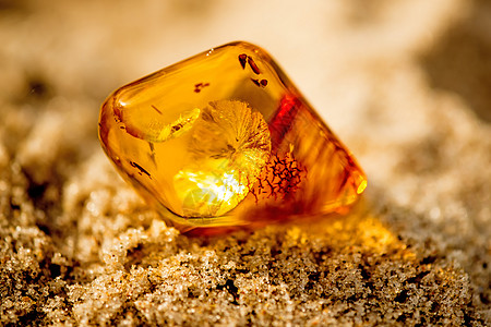 在波罗的海海滩的日光下安眠矿物礼物珠宝地质学水晶树脂康复太阳岩石宏观图片