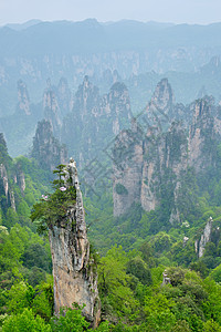 中国张家江山悬崖游客生态山脉砂岩风景公园石头薄雾天气图片