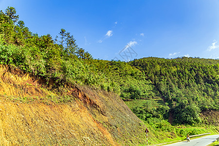 在Sa Pa 越南老挝的绿稻田上露天绿稻田全景农业天空地平线场景顶峰环境岩石风景森林图片