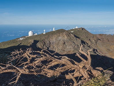 最高山峰的干树根 在 蓝天和背景海洋设有大型观测台望远镜天文星系蓝色小路火山口魔法风景国家天文台科学图片