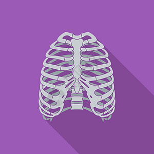 人类胸腔的图标胸部药品解剖学身体保健骨骼脊柱科学生活生物学背景图片