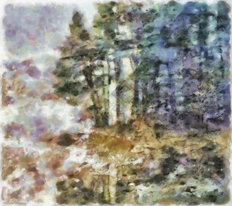 森林分支机构刷子反射艺术插图帆布松树环境绘画笔画图片