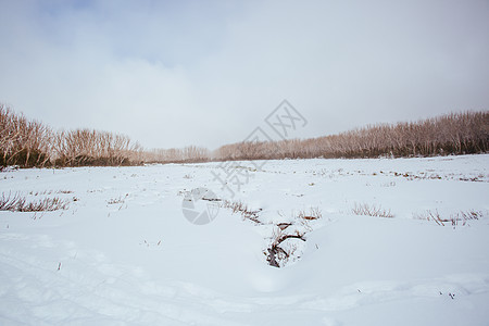 澳大利亚的山丘轨迹湖薄雾胶树滑雪旅游天气远足风景白色山脉季节性图片