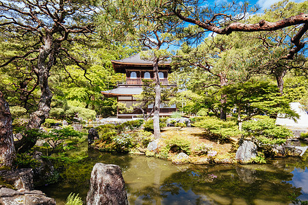 京都日本银桂庙寺殿公园树叶建筑建筑学花园森林日光遗产季节池塘图片
