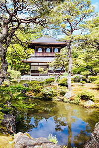 京都日本银桂庙寺殿池塘银亭旅行日光花园历史性森林历史旅游宗教图片