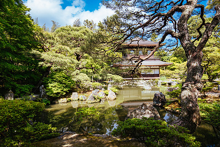 京都日本银桂庙寺殿精神银亭树叶地标季节历史性池塘风景旅行文化图片