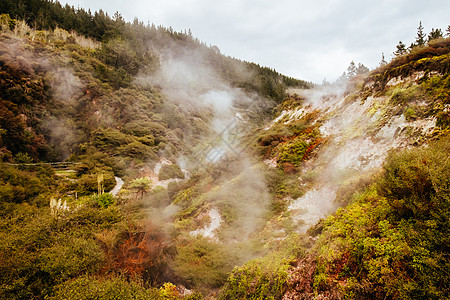 新西兰的Wairakei自然热河谷大自然温泉谷火山环境岩石陨石小路蕨类远足蒸汽图片