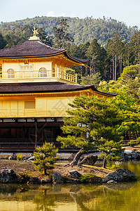 日本京都金宫寺或金殿 日本京都旅行遗产地标建筑学旅游公园亭子宗教旅行社季节图片