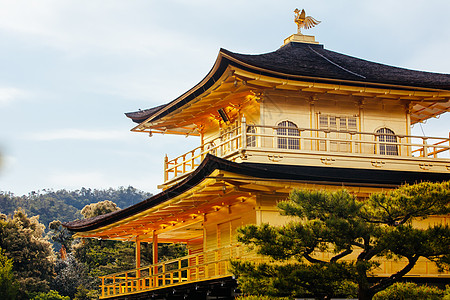 日本京都金宫寺或金殿 日本京都森林季节池塘佛教徒建筑学寺庙松树吸引力旅行文化图片