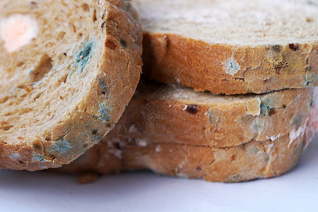 面包上发霉 紧闭宏观真菌面粉小麦细菌腐烂菌类灰色霉菌食物图片