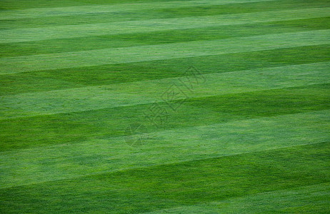 草地足球场的条纹近距离运动场运动体育场投手足球绿色土地图片