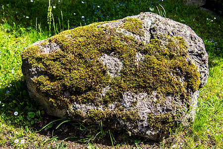 在草地上生长着苔的岩石巨石图片